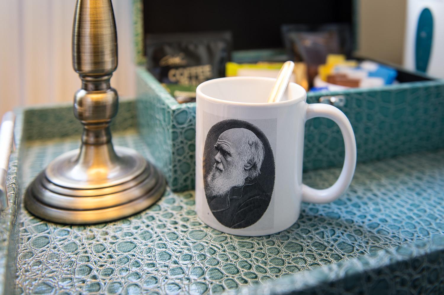 达尔文联排别墅旅馆 什鲁斯伯里 客房 照片 A mug with a portrait of Darwin