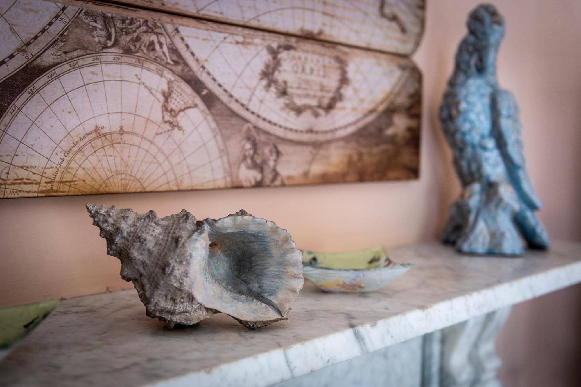 达尔文联排别墅旅馆 什鲁斯伯里 客房 照片 A conch shell